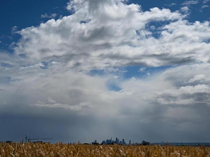 Ein Weizenfeld bei Bad Soden im Taunus leuchtet im Sonnenschein, während Regenwolken über der Skyline von Frankfurt am Main hinwegziehen.
