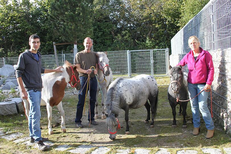 Ankunft im Tierheim: Tierschützer präsentieren die Shetland-Stuten Anja, Lydia, Tanja und Ilse.