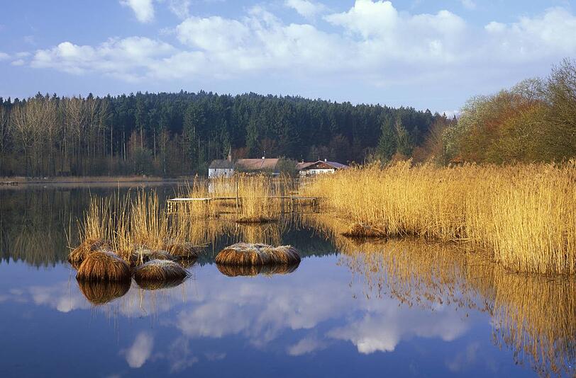 Idylle im Oberland: Der Harmatinger Weiher. Hier ertrank ein Münchner am Dienstag.
