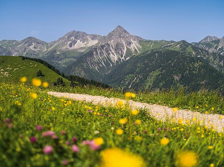 Zügig zum Nordufer des Vilsalpsees im Naturschutzgebiet Vilsalpsee. Um den 1.635 Meter hohen Sorgschrofen herum, an dem die deutsch-österreichische Grenze verläuft.