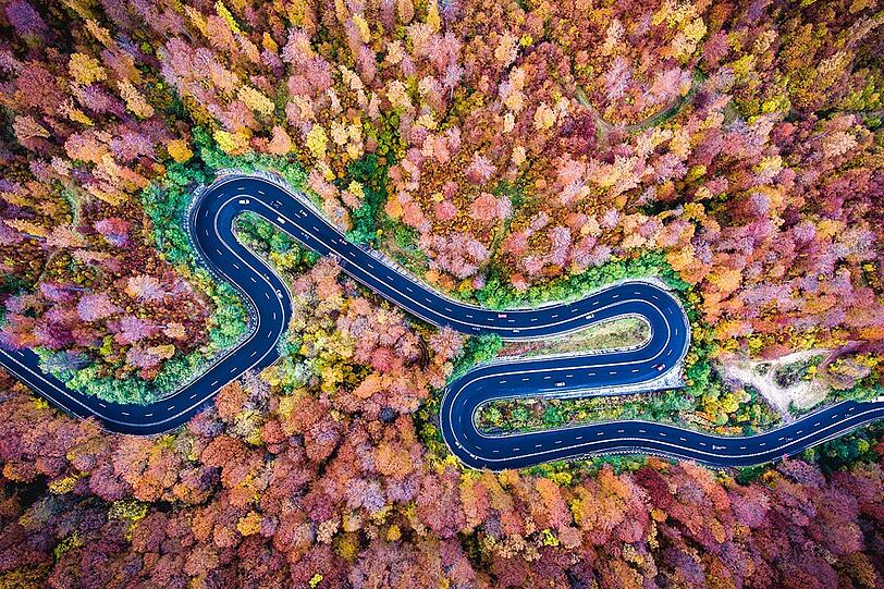 Zauberhafter Herbst: Eine Straße schlängelt sich durch den Bogata Forest in Rumänien.