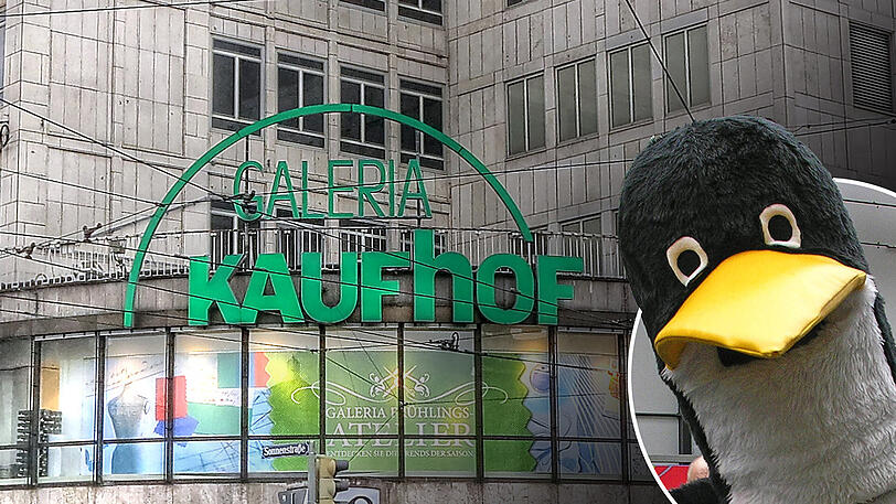 Wie genau, das Pinguinkostüm aussah, ist nicht überliefert. Jedenfalls sorgte der Dieb so für reichlich Aufsehen im Kaufhof. (Symbolbild)
