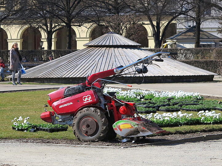 Die Stadtgärtner setzen die ersten Frühlingsblumen ein.