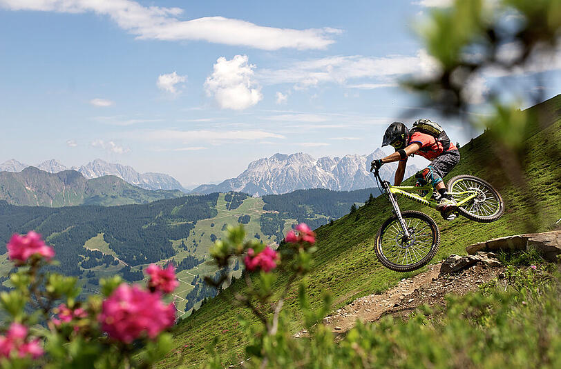 4 Seilbahnen, 4 Berge und ein 400 km langes Wege- und Trailnetzwerk &ndash; das sind die Zutaten für ein Bike-Eldorado der Extraklasse.