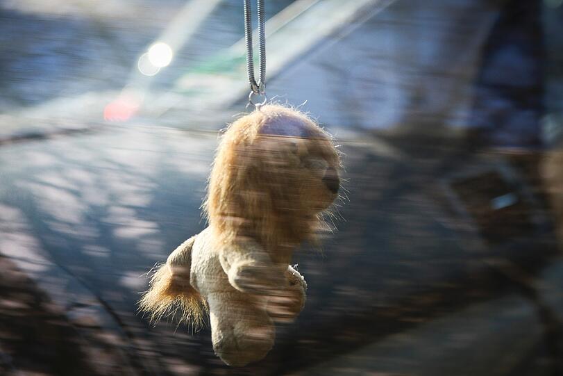 ...mit einem flauschigen Löwen. Lieb schaut das aus. Dabei machen manche Löwen-Fans auch gerne mal auf hart.