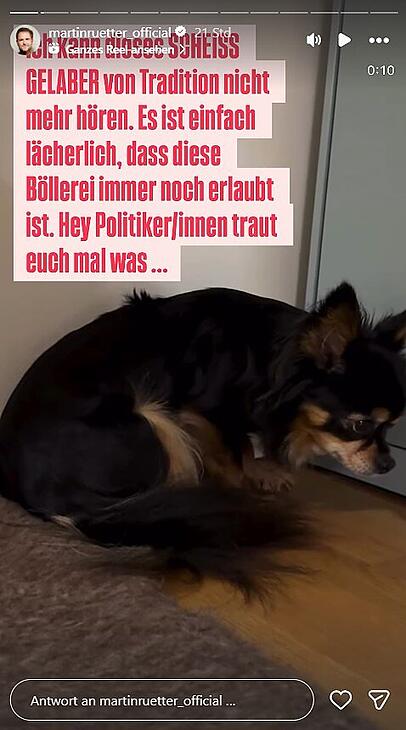 Martin Rütter ist für ein generelles Böllerverbot und appelliert an die politische Spitze. Martin Rütter ist für ein generelles Böllerverbot und appelliert an die politische Spitze.