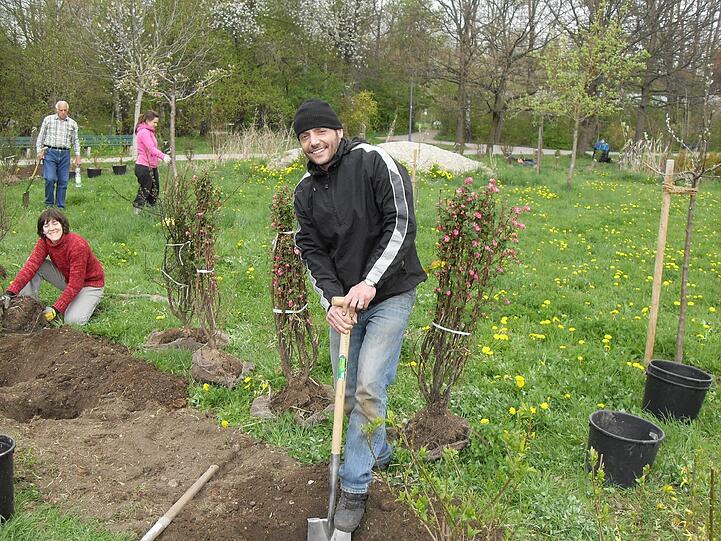 Der Gemeinschaftsgarten in der Englschalkinger Straße steht allen interessierten Münchnern offen.