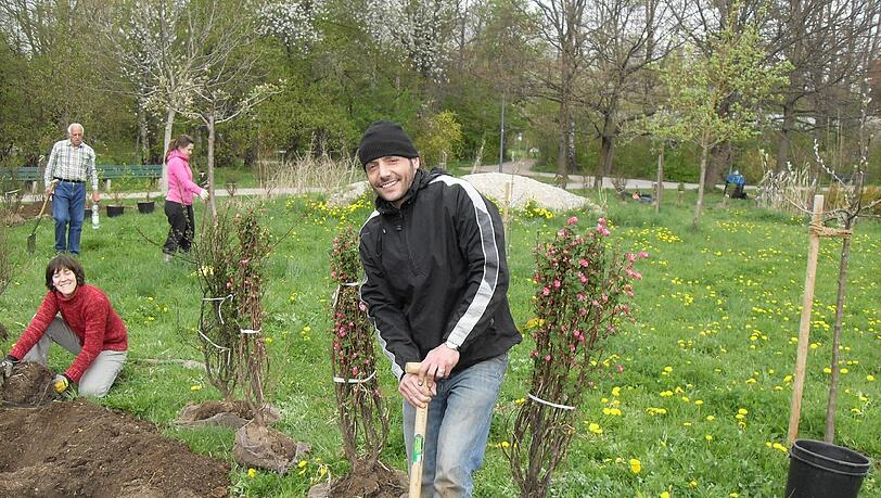 Der Gemeinschaftsgarten in der Englschalkinger Straße steht allen interessierten Münchnern offen. Der Gemeinschaftsgarten in der Englschalkinger Straße steht allen interessierten Münchnern offen.