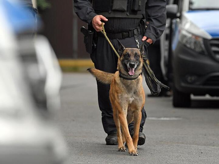 Ein Polizist geht mit einem Polizeihund die Straße entlang. Foto: Hendrik Schmidt/Archiv