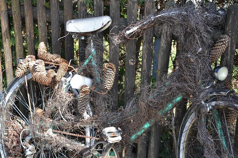 Jetzt wird es einfacher: Es ist das bekannteste Rad Moosachs.