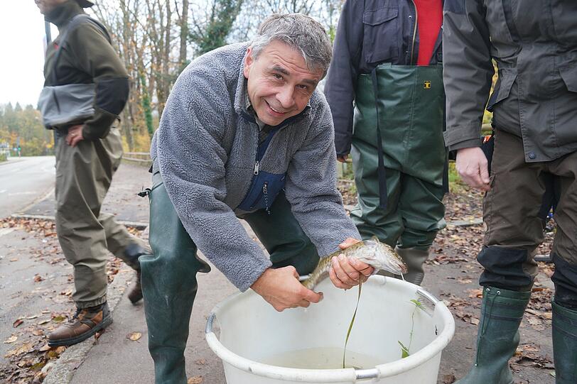 Isarfischer Stunimir Pilipovic legt einen Fisch vorsichtig in den Eimer.