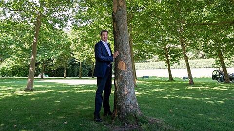 Idyllisch: Ministerpräsident Markus Söder (CSU) mit einem Baum im Hofgarten hinter der Bayerischen Staatskanzlei.