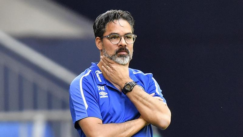 Trainer David Wagner erlebt mit dem FC Schalke 04 bittere Wochen. Trainer David Wagner erlebt mit dem FC Schalke 04 bittere Wochen.