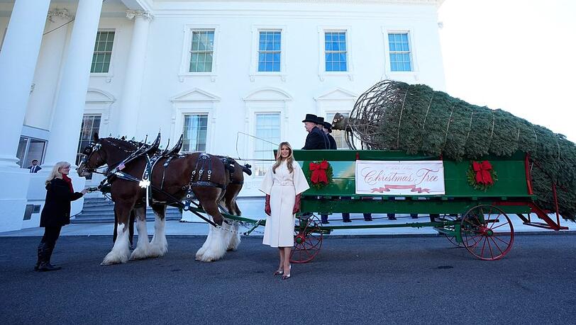 Melania Trump vor einer Pferdekutsche mit dem offiziellen Weihnachtsbaum.