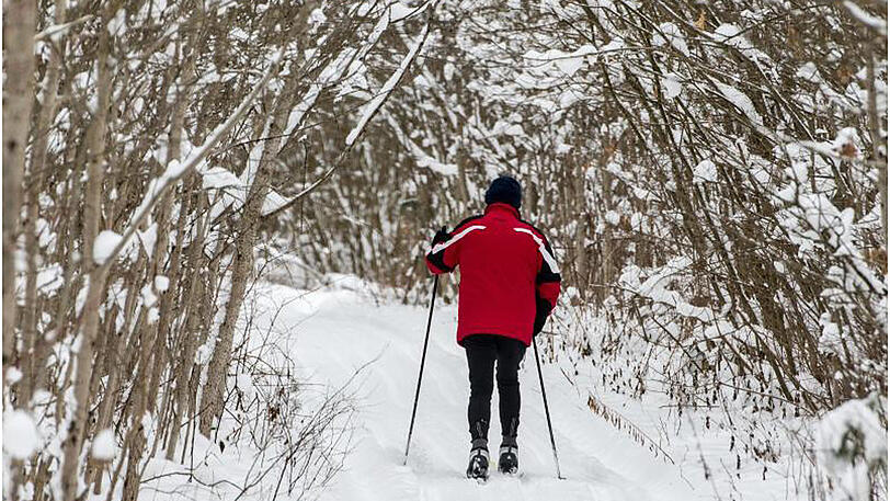 Ein Langläufer ist im Landkreis Cham in Bayern im Schnee unterwegs.