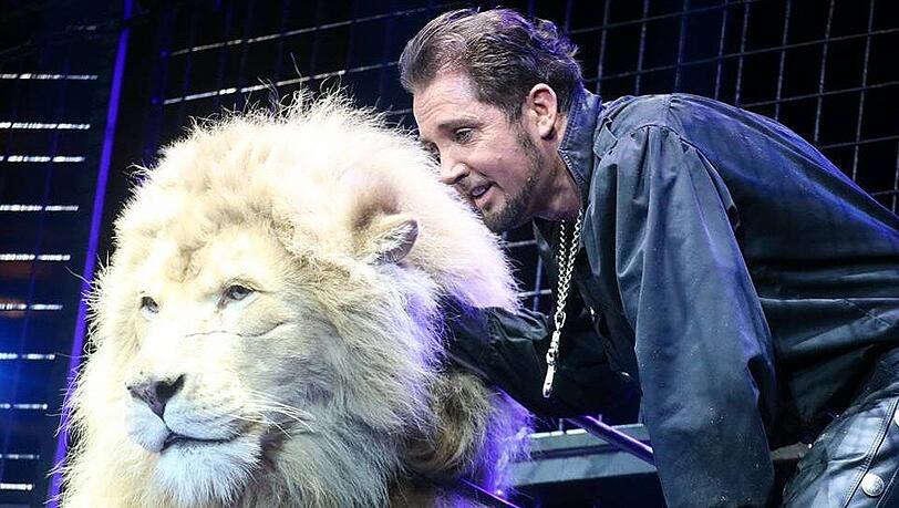 Der Circus Krone will Raubtier-Proben im Sommer auf der Theresienwiese zeigen.
