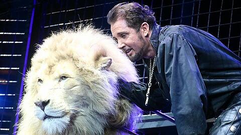 Der Circus Krone will Raubtier-Proben im Sommer auf der Theresienwiese zeigen.
