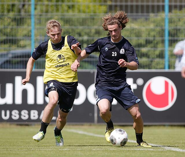 Neulöwe Yannick Stark.