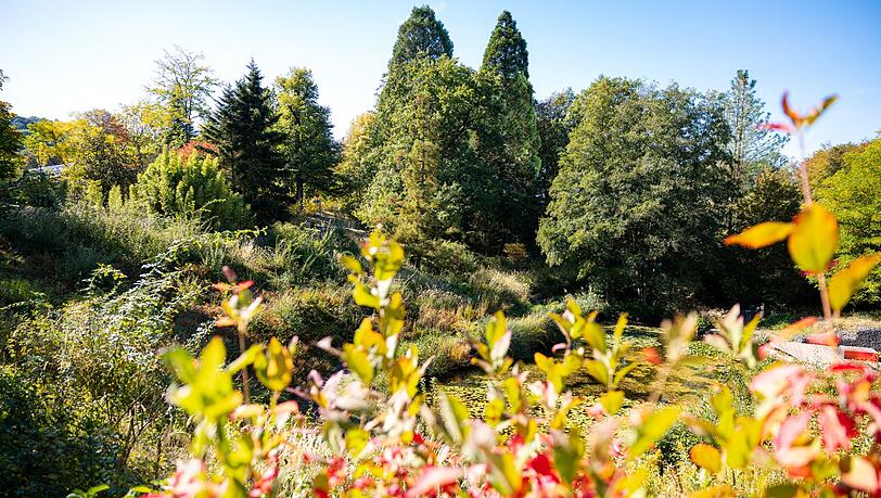 Im Süden Deutschlands werden Höchstwerte um die 23 Grad erwartet. Im Süden Deutschlands werden Höchstwerte um die 23 Grad erwartet.