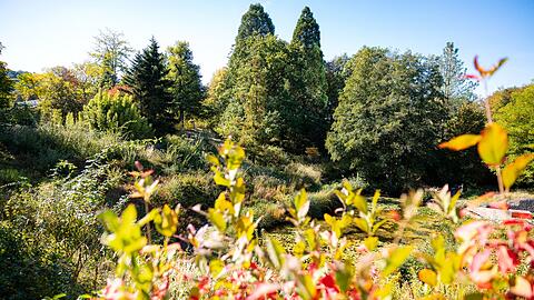 Im S&uuml;den Deutschlands werden H&ouml;chstwerte um die 23 Grad erwartet.