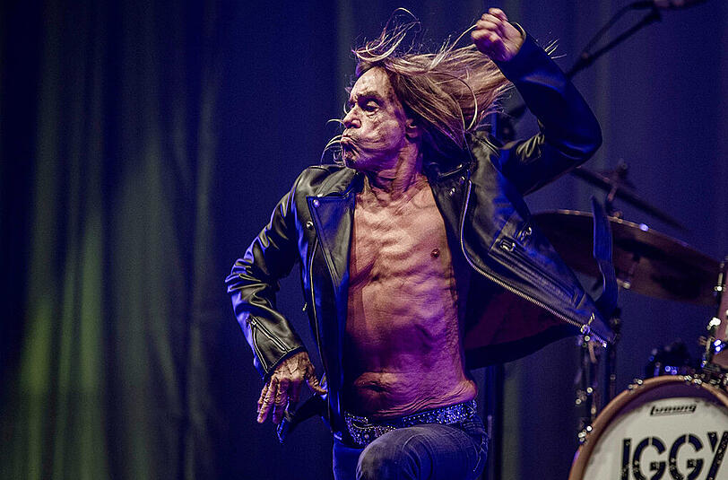 Ungekünstelt, gerade heraus: Iggy Pop im letzten Jahr bei einem Konzert in den Niederlanden.