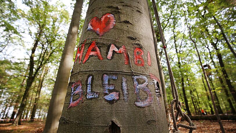 &bdquo;Hambi bleibt&ldquo; haben Baumschützer im Hambacher Forst auf einen Baumstamm gemalt. Seit sechs Jahren besetzen sie den Wald im rheinischen Braunkohlerevier, um ihn vor der Rodung durch den Energieriesen RWE zu schützen. Während der Räumung stürzt im September ein Journalist aus einem Baumhaus und stirbt. Die Rodung wird gestoppt, wie es weitergeht, entscheidet 2019 ein Gericht.