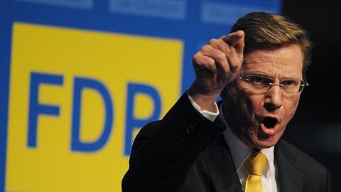 FDP-Chef Guido Westerwelle