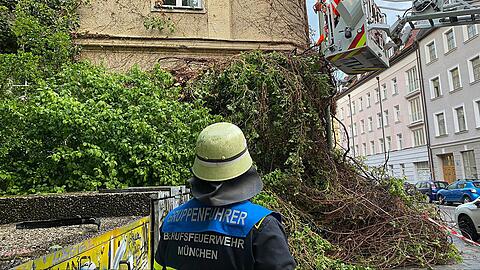Die Münchner Feuerwehr musste die Begrünung zurechtstutzen.
