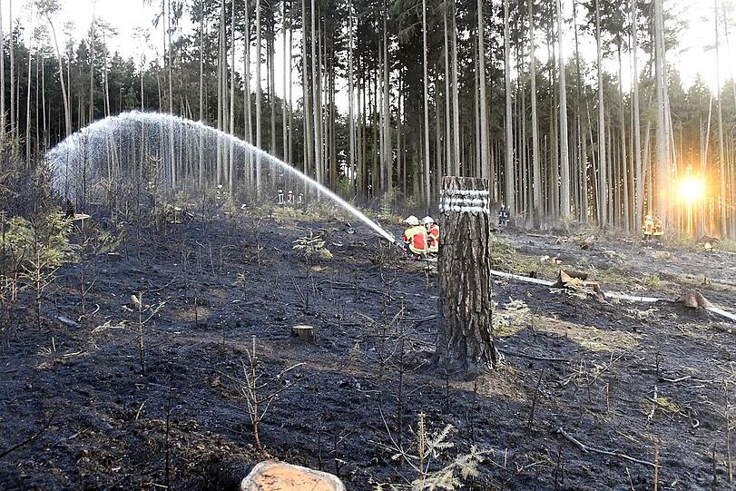 In der Nähe von Landshut standen am Freitagabend knapp 20.000 Quadratmeter Wald in Flammen. Rund 300 Einsatzkräfte waren bis tief in die Nacht im Einsatz, um den Brand unter Kontrolle zu bekommen.