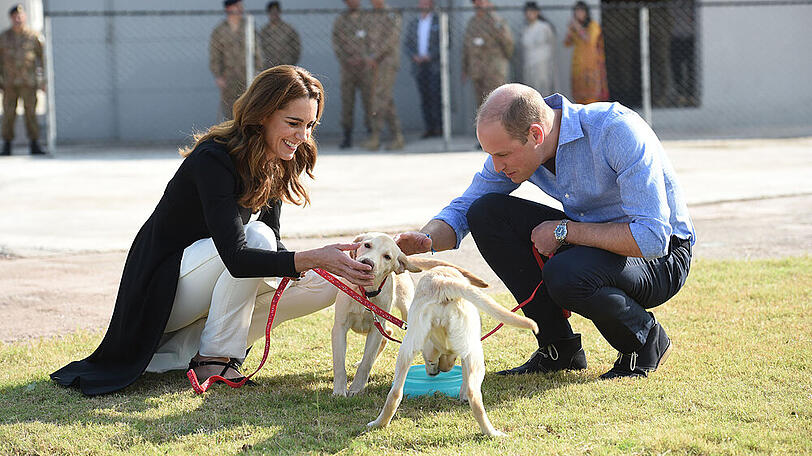 Herzogin Kate und Prinz William haben mit den angehenden Bombenspürhunden sichtlich Spaß