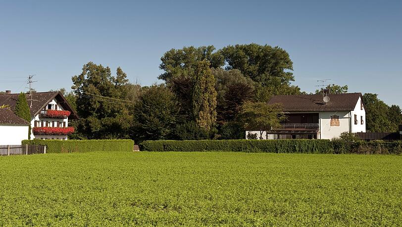 Eine "städtebauliche Entwicklungsmaßnahme" (SEM) soll in Feldmoching Ackerland und Wiesen in eine Siedlung verwandeln. Naturschützer wollen dies verhindern. (Symbolbild)