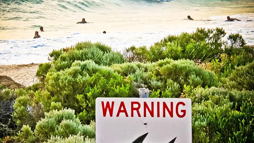 Die Gewässer rund um Australien sind berühmt-berüchtigt: Es kommt immer wieder zu Haiangriffen auf Schwimmer und Surfer. (Symbolbild)