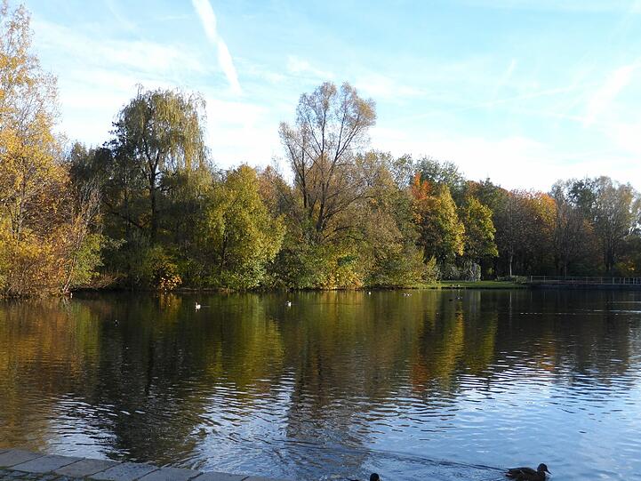 Das Foto hat AZ-Leserin Monika Kellner schon im Herbst gemacht. Am Schwabinger See könne man aber alle Jahreszeiten wunderbar erleben, schreibt sie zu ihrem Bild.