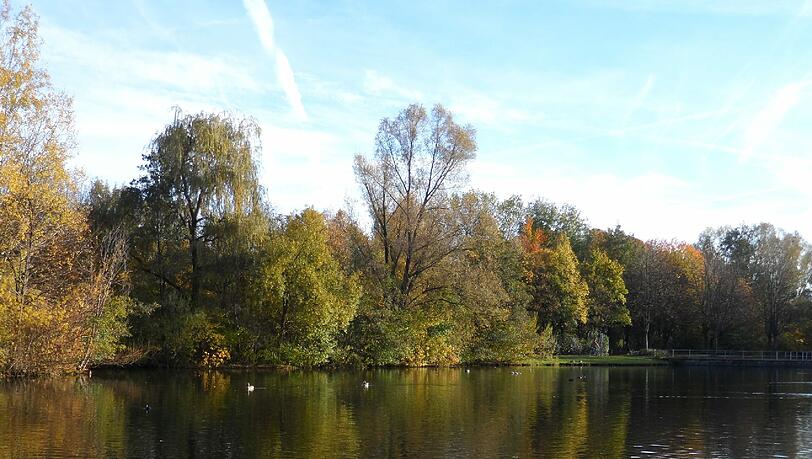 Das Foto hat AZ-Leserin Monika Kellner schon im Herbst gemacht. Am Schwabinger See könne man aber alle Jahreszeiten wunderbar erleben, schreibt sie zu ihrem Bild.