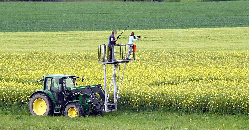 Wildwest in Oberbayern: Trotz zahlreicher Häscher behalten die Jungstiere bislang die Oberhand und entkommen immer wieder.