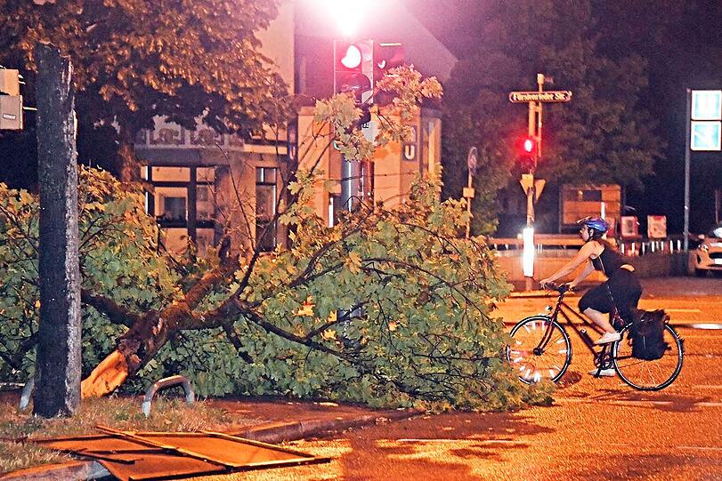 In der Fürstenrieder Straße hat ein abgebrochener Baum die Straße blockiert.