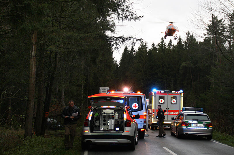 Baum zerquetscht Auto: Die Bilder vom Rettungseinsatz