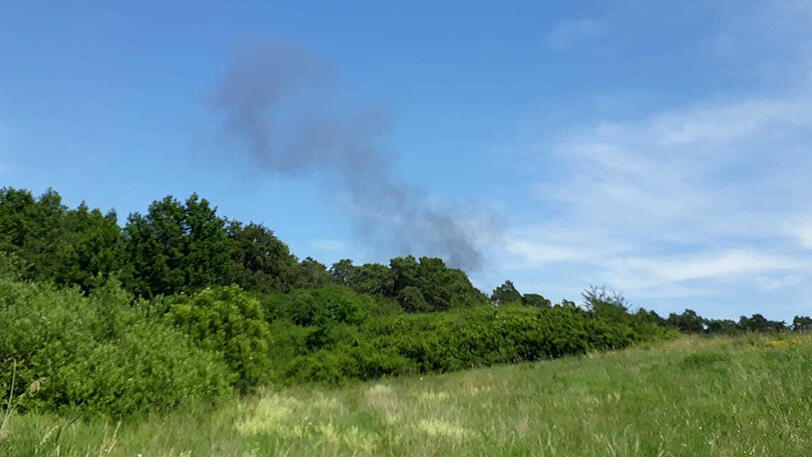 Eine Rauchwolke steigt hinter einem Waldstück auf.