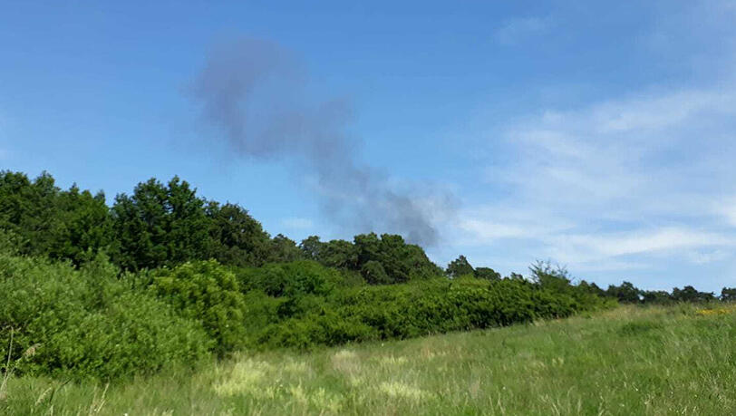 Eine Rauchwolke steigt hinter einem Waldstück auf. Eine Rauchwolke steigt hinter einem Waldstück auf.