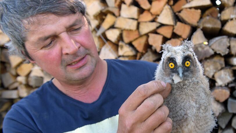 Ein Mann und seine Eule! Markus Roth (l.) will die Waldohreule bald wieder in die Wildnis entlassen.