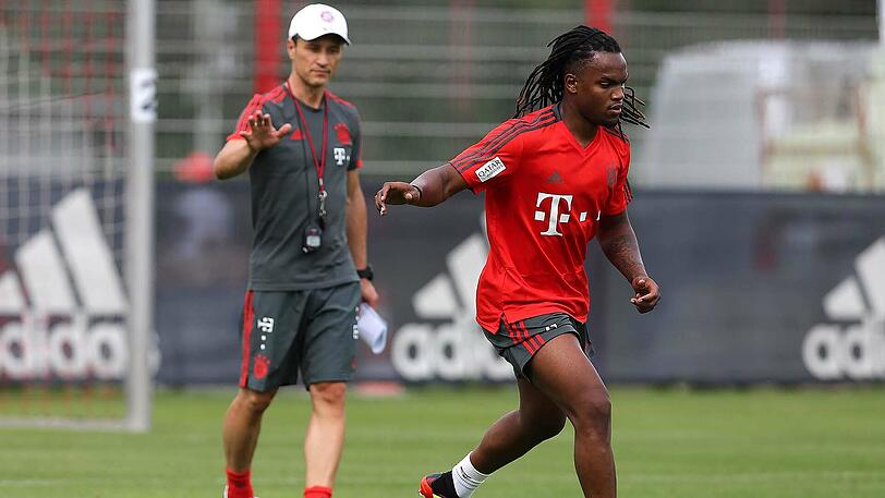 Weitere Bilder vom ersten Mannschaftstraining des FC Bayern.