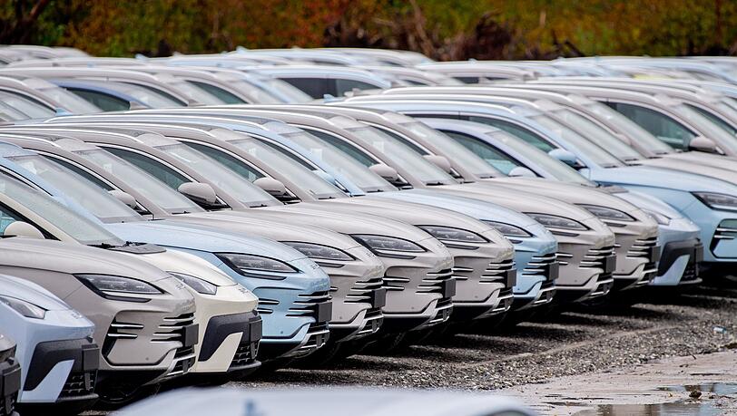 Elektrofahrzeuge von BYD stehen im Hafengebiet von Wilhelmshaven. Chinesische Hersteller drängen weiter auf den EU-Automarkt. (Archivbild) Elektrofahrzeuge von BYD stehen im Hafengebiet von Wilhelmshaven. Chinesische Hersteller drängen weiter auf den EU-Automarkt. (Archivbild)