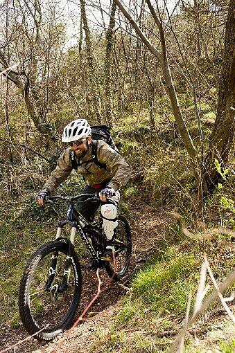 Kleine, gut zu fahrende Wald-Trails bereiten jedem Mountainbiker viel Freude.