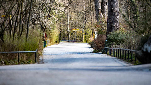 Wo sonst Besucher entlang spazieren, ist nun Leere im Tierpark Hellabrunn. Klicken Sie sich durch die Bilder.