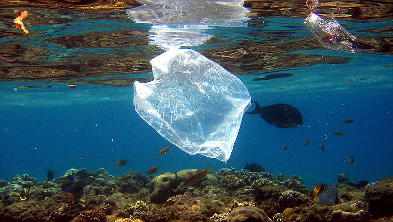 Eine Plastiktüte schwimmt über Korallen im Roten Meer in Ägypten. Die Vermüllung der Meere steht im Mittelpunkt einer am 30.05.2017 beginnenden dreitägigen Konferenz mit Vertretern der G20-Staaten in Bremen. Eine Plastiktüte schwimmt über Korallen im Roten Meer in Ägypten. Die Vermüllung der Meere steht im Mittelpunkt einer am 30.05.2017 beginnenden dreitägigen Konferenz mit Vertretern der G20-Staaten in Bremen.