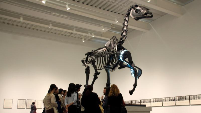 Das Werk "Gift Horse" von Hans Haacke in New York. Das Werk "Gift Horse" von Hans Haacke in New York.