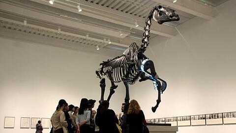 Das Werk "Gift Horse" von Hans Haacke in New York.