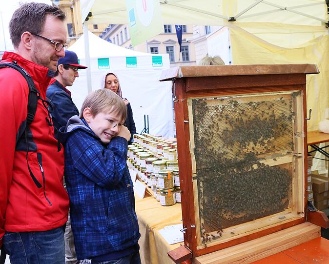 Gute Stimmung in Schwabing und der Maxvorstadt: Beim Streetlife-Festival hatten die Münchner auch heuer bei zahlreichen Angeboten und Shows viel Spaß. Die Bilder.