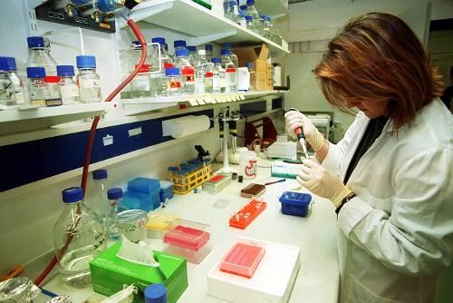 In einem Labor wird eine Gen-Untersuchung vorgenommen