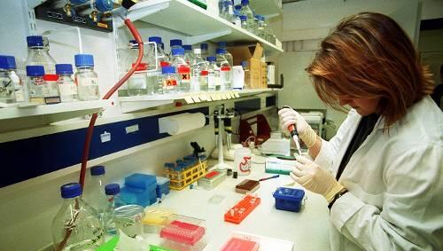In einem Labor wird eine Gen-Untersuchung vorgenommen In einem Labor wird eine Gen-Untersuchung vorgenommen